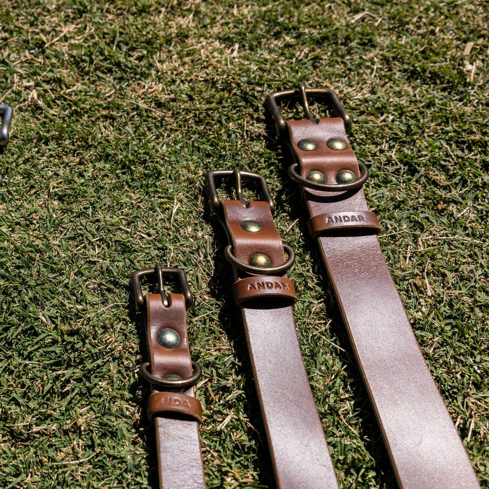 best leather dog collars 